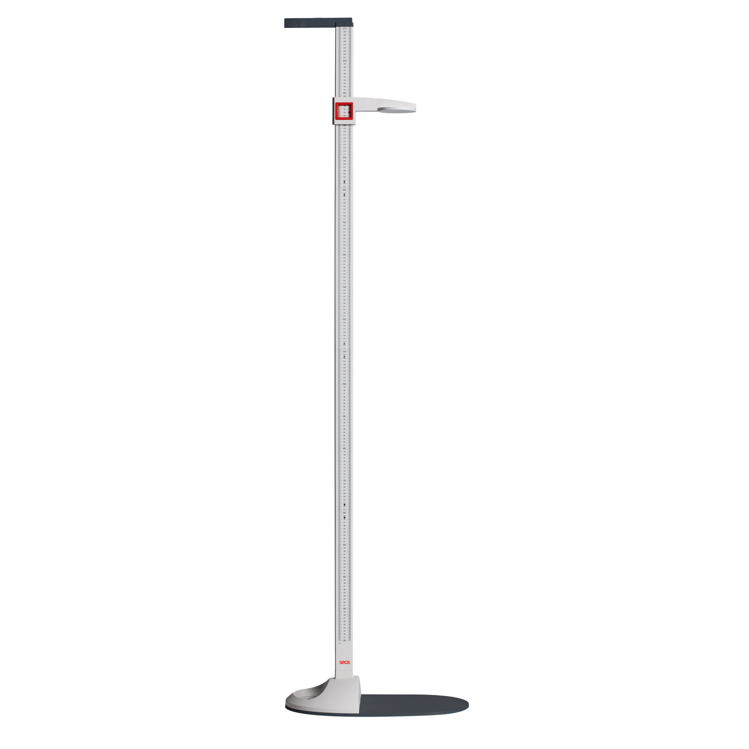 SECA 217 Flat Scale